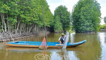 Cà Mau “xanh hoá” để thích ứng