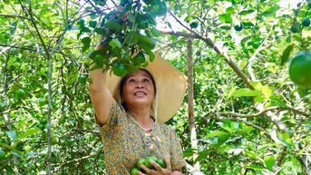 'Chìa khoá' giúp người dân xã miền núi thoát nghèo