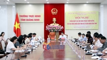 Thống nhất nội dung thuộc thẩm quyền của HĐND tỉnh và UBND tỉnh