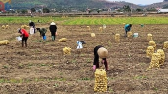 Hỗ trợ sản xuất, kết nối tiêu thụ sản phẩm 