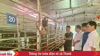 Điểm tựa giúp nông dân vượt khó, làm giàu