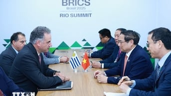 Uruguay luôn coi trọng và mong muốn phát triển quan hệ với Việt Nam