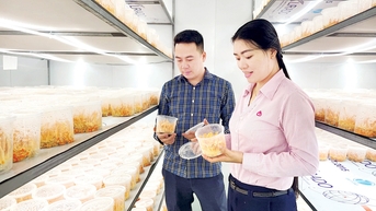 Bảo đảm dòng vốn tín dụng chính sách thông suốt, hiệu quả