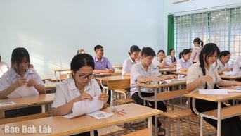 Giáo dục đại trà - nhìn từ kết quả tuyển sinh lớp 10 THPT