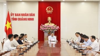 UBND tỉnh nghe ý tưởng đầu tư tổ hợp kinh tế tuần hoàn năng lượng xanh GH2