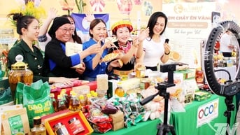Tổng mức bán lẻ hàng hóa và doanh thu tiêu dùng tăng 20,4%