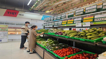 Đẩy mạnh sản xuất và cung ứng rau sạch cho thị trường