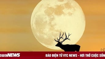 'Trăng Hươu Đực' thấp nhất năm sẽ xuất hiện trên bầu trời đêm 10/7