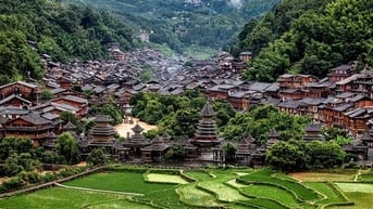 Nông thôn Trung Quốc chuyển mình nhờ du lịch xanh