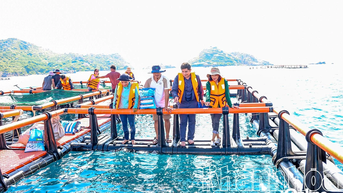 Ngư dân nuôi biển hào hứng vươn khơi