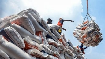 Giá gạo tại Nhật Bản tăng, cơ hội cho hàng Việt