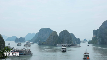 Quảng Ninh: Nhiều luồng ý kiến về việc thu phí xem pháo hoa trên Vịnh Hạ Long
