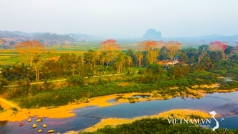 Rực Trời Hoa Gạo ở Tam Sơn, Nghệ An