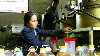 Lo ngại dầu ăn giả, người dân tự ép dầu để sử dụng