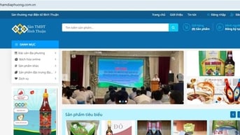 Hỗ trợ doanh nghiệp tham gia sàn thương mại điện tử
