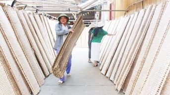 Bánh đa nem Thổ Hà - Sản vật níu chân du khách