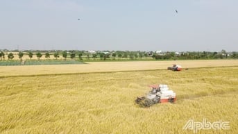 Ngành Nông nghiệp tỉnh Đồng Tháp: Phấn đấu hoàn thành chỉ tiêu tăng trưởng năm 2025