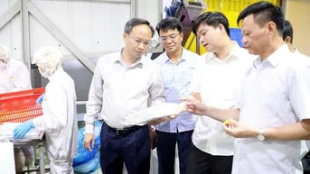 Phó Chủ tịch UBND tỉnh Bắc Ninh Phạm Văn Thịnh khảo sát vùng trồng, cơ sở biến vải thiều