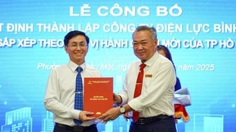 EVNHCMC thành lập 9 công ty điện lực mới sau sáp nhập
