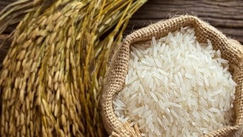 Giá lúa gạo hôm nay 01/08: Gạo nguyên liệu giảm nhẹ