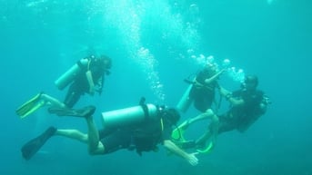 Khám phá “thế giới biển” Cù Lao Chàm