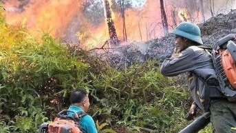 ការ​គ្រប់​គ្រង​ភ្លើង​ឆេះ​ព្រៃ​នៅ​ចំណុច​កំពូល Ru Oi ឃុំ Hoa Quan