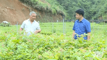 Từ đất trống hóa rừng xanh