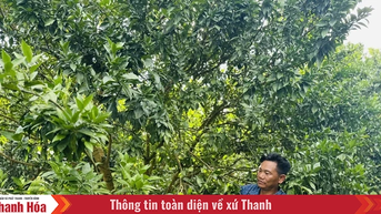 Làm giàu từ phát triển kinh tế tổng hợp