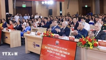 Thủ tướng: Đáp ứng yêu cầu điện cho phát triển, với mức tăng trưởng 2 con số