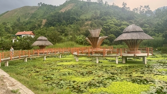 Danh thắng hang Phượng Hoàng: Điểm du lịch sinh thái hấp dẫn