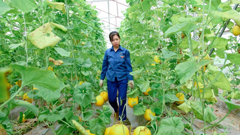 របកគំហើញ​ផលិត​កម្ម​កសិកម្ម​អនុវត្ត​វិទ្យាសាស្ត្រ​និង​បច្ចេក​វិទ្យា​នៅ​ង្វៀន​ឌឹក