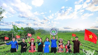 និន្នាការគ្រុនក្តៅ