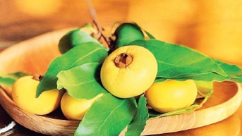 Mùa thị về trong nỗi nhớ