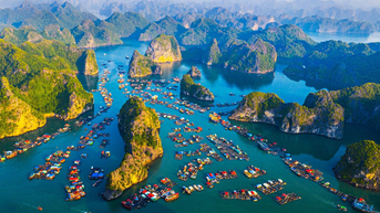 Top 5 trải nghiệm du lịch đảo Cát Bà thú vị nhất