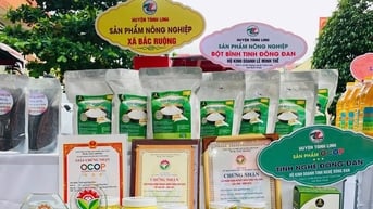 Bột bình tinh Đông Đan gắn sản phẩm OCOP