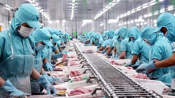 EU siết quy định nhãn mác, doanh nghiệp Việt xuất khẩu thực phẩm cần lưu ý