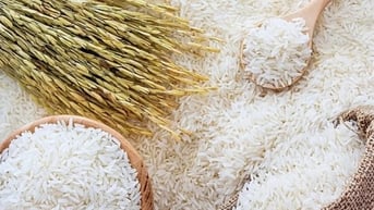 Giá lúa gạo hôm nay 11/8: Xuất khẩu vững, nội địa lặng sóng
