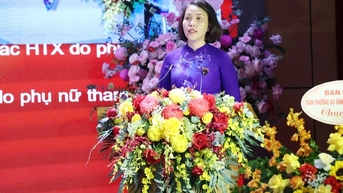 3 đề xuất thúc đẩy kinh tế tư nhân, hỗ trợ mô hình sinh kế của phụ nữ