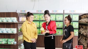 Yen Chau는 OCOP 제품을 개발합니다