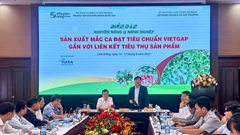 Diễn đàn tăng cường liên kết chuỗi trong sản xuất mắc ca VietGAP