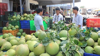 Phát triển kinh tế xã Dầu Giây hiện đại, bền vững