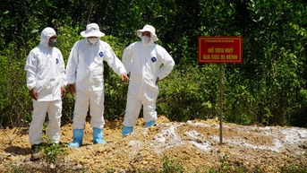 Sở Nông nghiệp và Môi trường kiểm tra công tác phòng, chống dịch bệnh Dịch tả lợn châu Phi tại xã Trà Giang