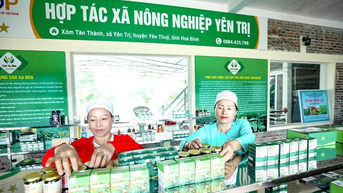 Vụ mới ở Yên Trị