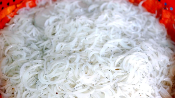 ត្រីប្រាក់ - "គុជព្រិល" នៃទន្លេដា