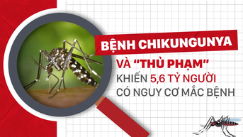 ជំងឺ Chikungunya - "ពិរុទ្ធជន" ដែលធ្វើឱ្យមនុស្ស 5.6 ពាន់លាននាក់ប្រឈមនឹងជំងឺ