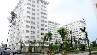 TPHCM: Khẩn trương xây dựng phương án ứng phó thiên tai