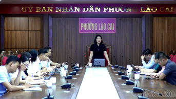 Lao Cai Ward បានបើកកិច្ចប្រជុំដើម្បីពិភាក្សាអំពីដំណោះស្រាយសម្រាប់ការអភិវឌ្ឍន៍ទេសចរណ៍។