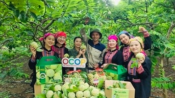 Quảng bá, nâng cao giá trị sản phẩm na và nông sản tỉnh Thái Nguyên