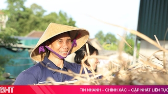 Người dân phấn khởi kiếm tiền từ cây dại ven sông