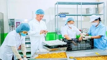Xây dựng sản phẩm OCOP dựa trên thế mạnh doanh nghiệp